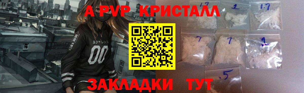 A PVP СК Воронеж
