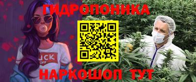 индика Ливны