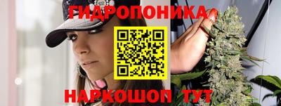 индика Ливны