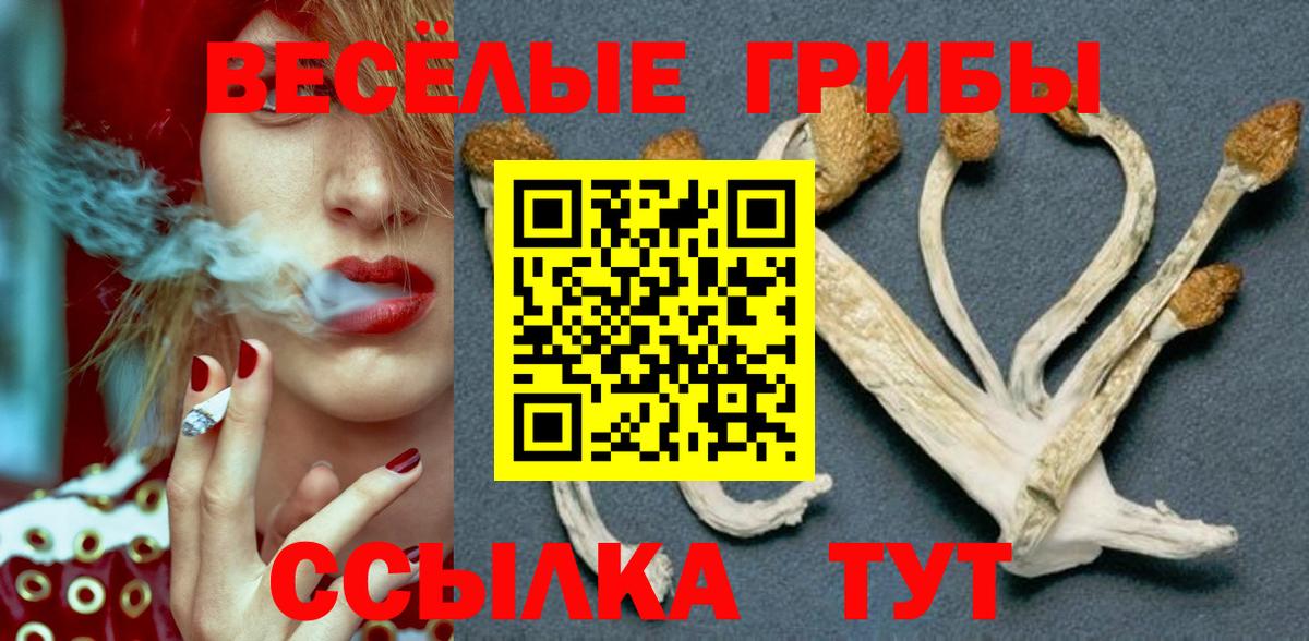Галлюциногенные грибы ЛСД Воронеж