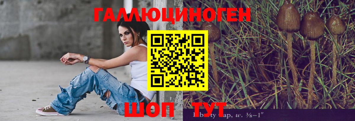 Воронеж  где продают наркотики  Вход с VPN  Псилоцибиновые грибы прущие грибы 